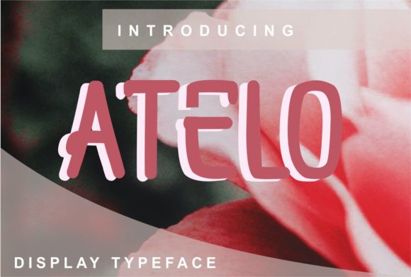 Atelo Display Font for Clean, Adaptable Business Branding