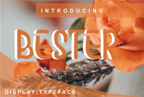 Bester: A Cool Display Font for Handmade Product Design
