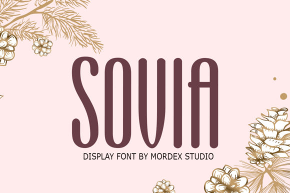 Sovia: A Multi-Heavy Display Font for Handmade Branding
