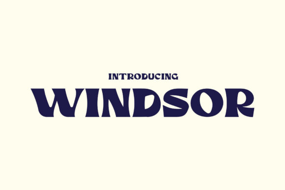 Windsor: The Groovy Display Font for Makers and Creatives